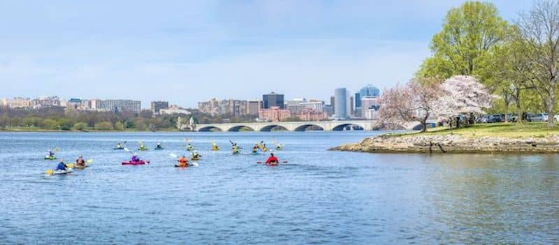 Kayakers in Arlington, Virginia.
