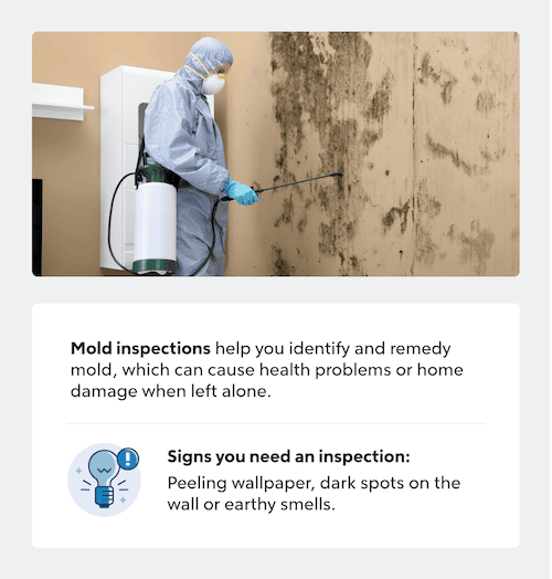 Mold inspection infographic.