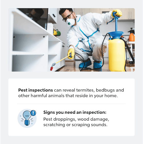 Pest inspection infographic.