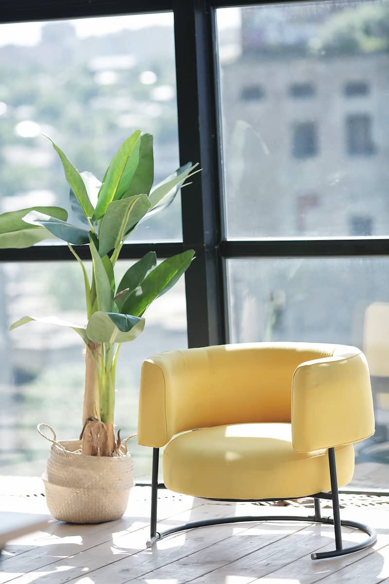 Yellow modern chair next to large potted house plant in front of big picture window.