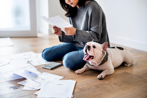 Asian woman reviews financial paperwork with French bulldog at her side.