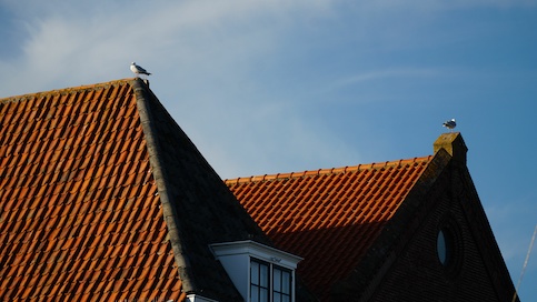 Closeup Shot Of Brown House Roofs With A Small Bird