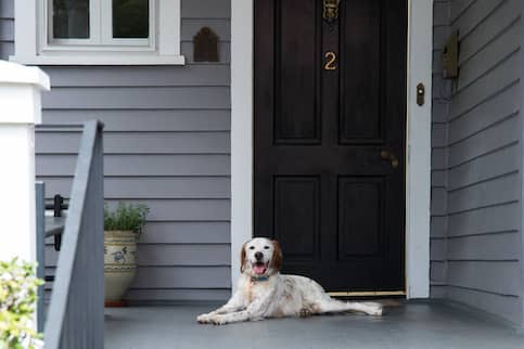 Front porch of a home with a dog laying down in front of the door.