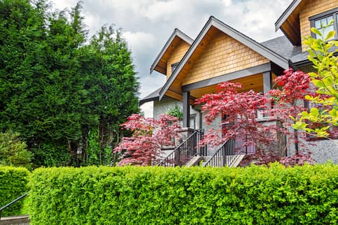 A small house with decorative red leaf trees.