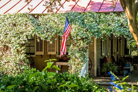 Typical American residential house building with American flag and white clematis climbing flowers on exterior trellis.
