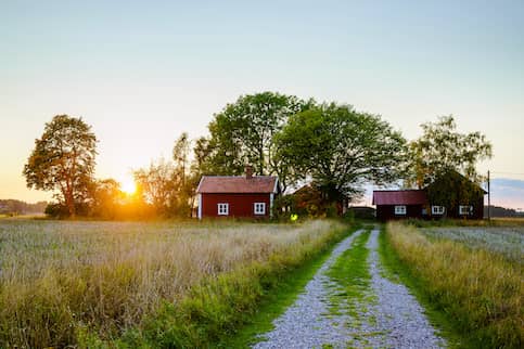 Small Red House