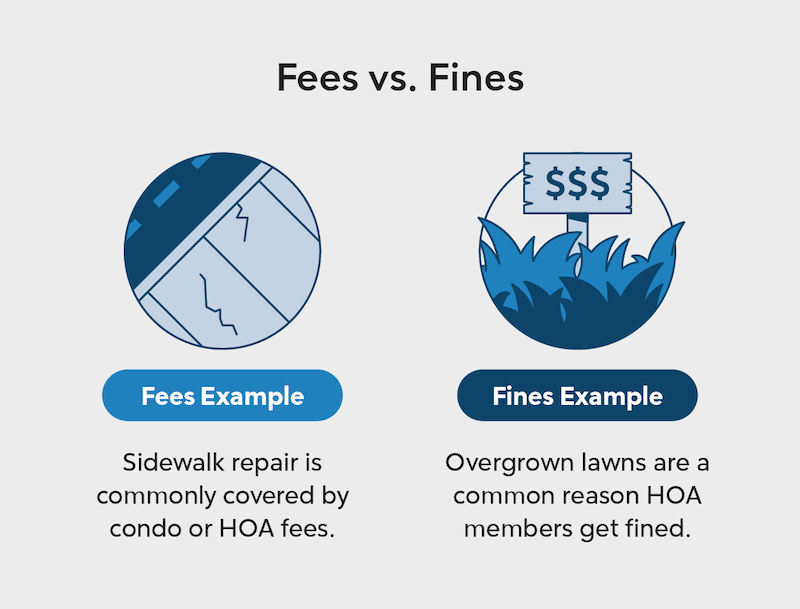 Infographic comparing fees to fines.