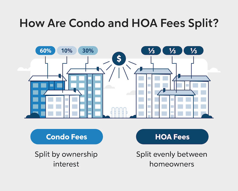 Infographic showing how condo and HOA fees split.