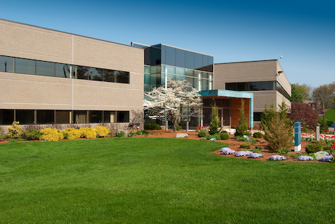 Commercial office building with garden.