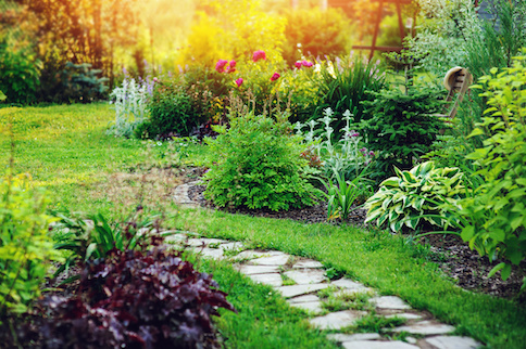 Path through a garden with flowers blooming and plants on either side.