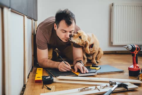 Dog interrupting man's home improvements.