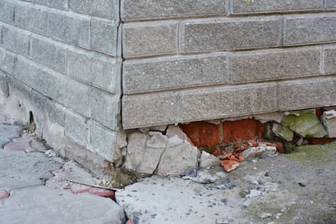 Gray brick wall, cracked and crumbling at the bottom.