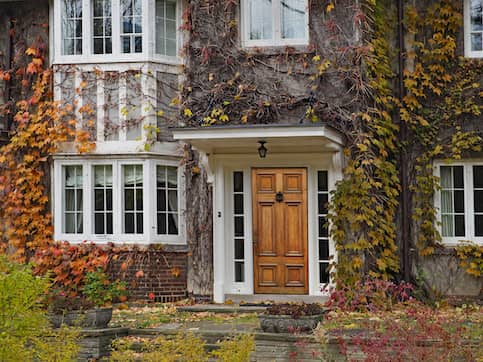 Brick classic home with fall foliage ivy growing on it.