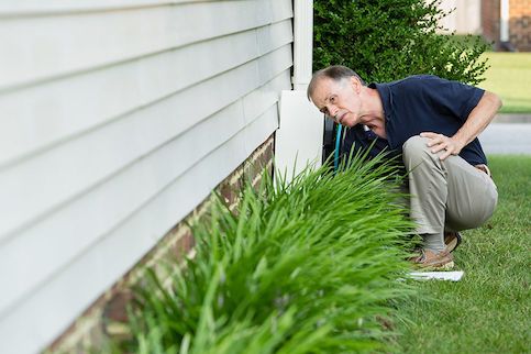 Man checking siding of house near bushes.