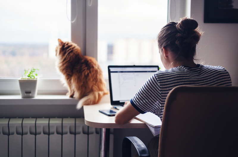 Girl working on laptop near window with cat sitting nearby