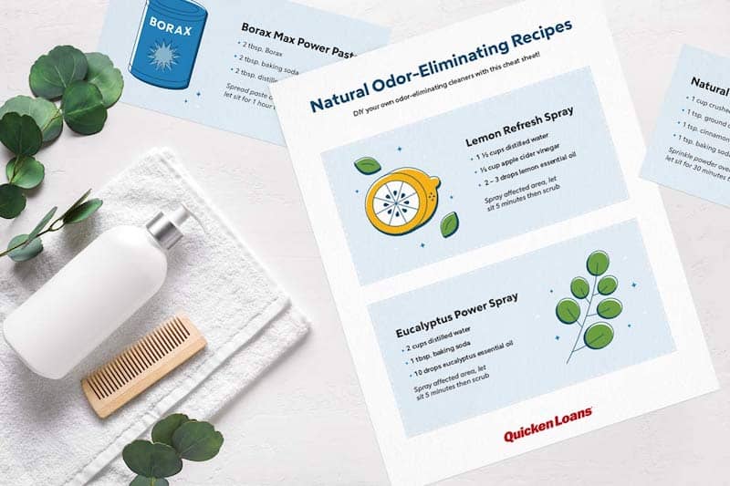 An image displaying odor-eliminating recipe cards.