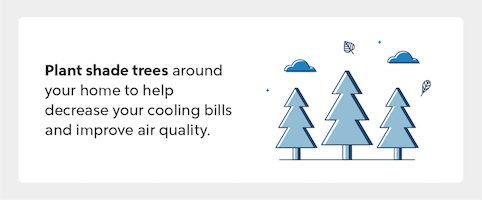 Infographic plant trees