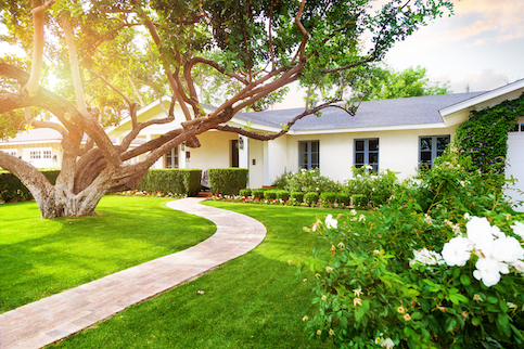 American suburban home with large tree in front yard.