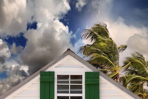 House with palm trees in the wind.