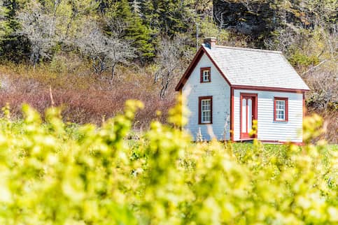 house in field