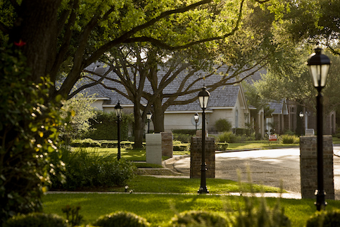 Tree-lined neighborhood street. 