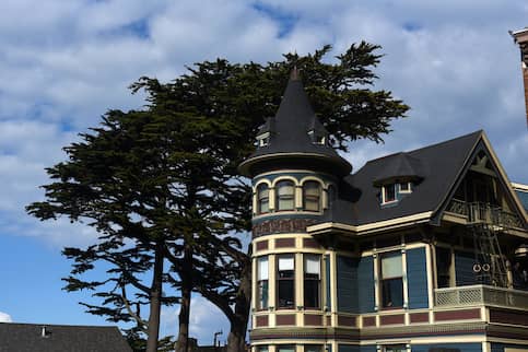 Dark victorian house in front of tree located in San Francisco.