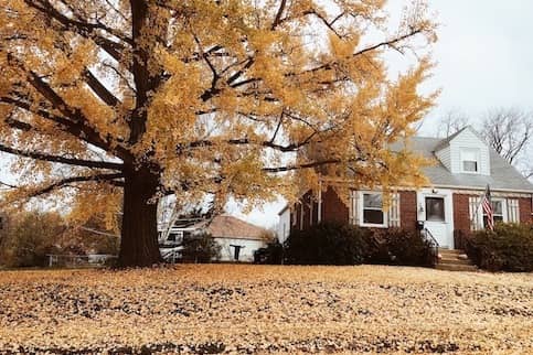 House in autumn leaves.