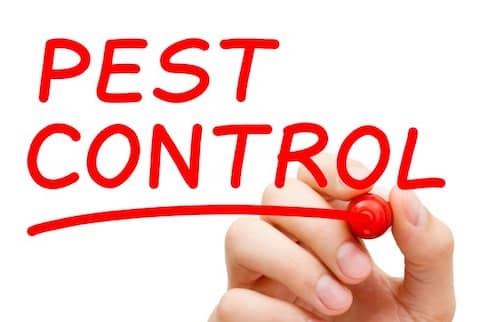 Pest control.