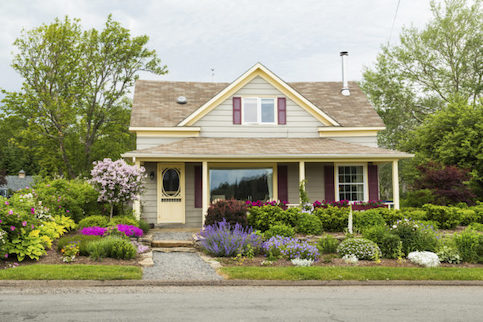 Quaint house with many hedges and shrubs in front yard.