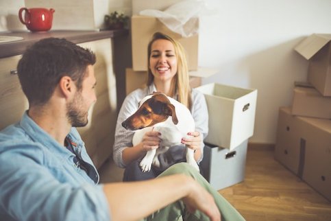 Young couple in the process of moving into a new home with a dog.