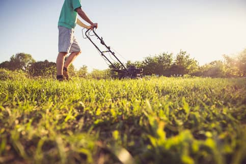 Man mowing lawn.